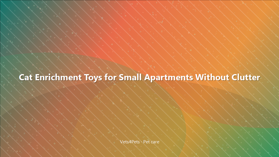 Cat Enrichment Toys for Small Apartments Without Clutter