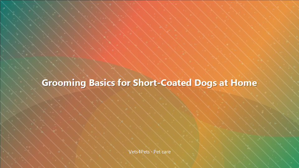 Grooming Basics for Short-Coated Dogs at Home